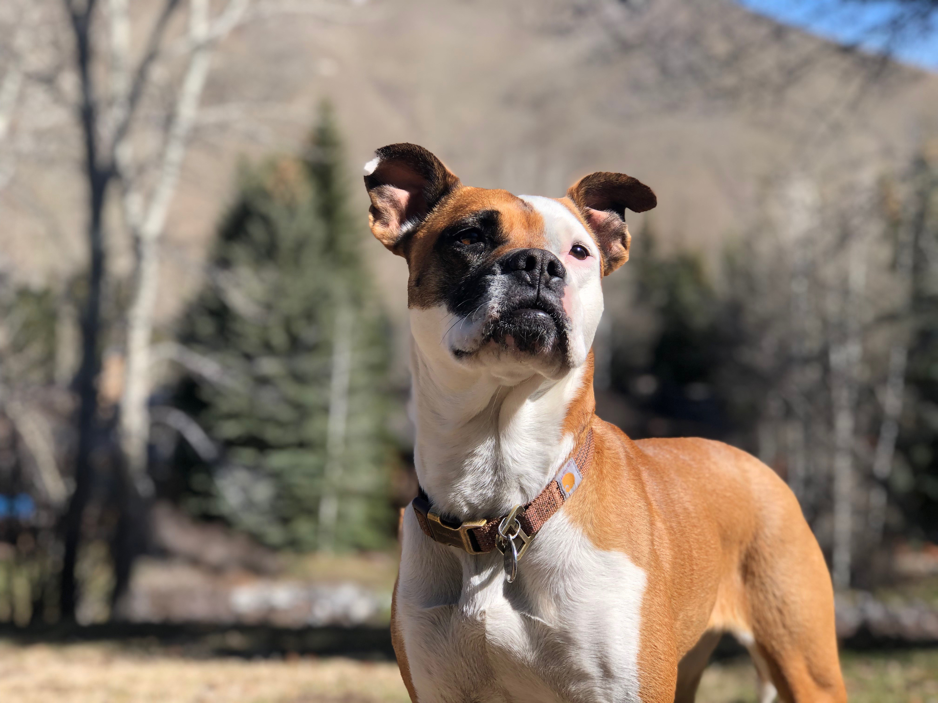 Millie, Operations Manager at Raven Art Services